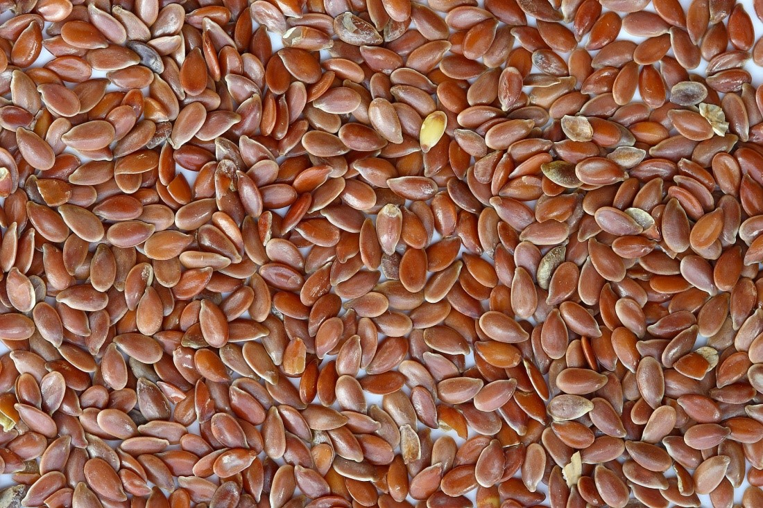 nasiona siemienia lnianego